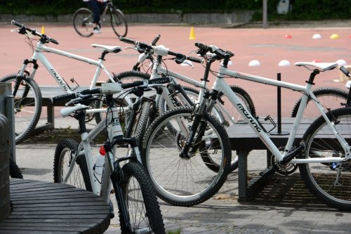 Gallus_faehrt_Rad_30.5